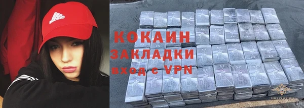 винт Алзамай